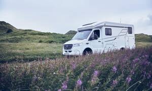 Exclusive Classic, Rent Easy Exclusive Classic Rent Easy