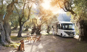 Premium First Rent Easy