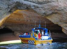 Dreamer Caves and Dolphins Dreamer Caves and Dolphins