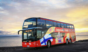 Hop-on Hop-off bustour