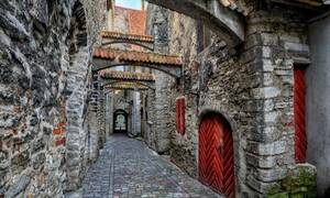 tallinn dag excursie vanuit helsinki