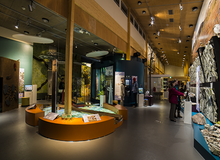 Dagtocht naar Luosto vanuit Rovaniemi wandelen excursie activiteit Rovaniemi