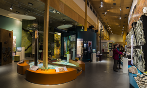 Dagtocht naar Luosto vanuit Rovaniemi wandelen excursie activiteit Rovaniemi