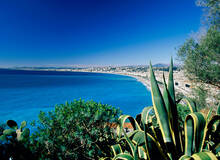Cannes dagtour Monaco en Eze Cannes dagtour Monaco en Eze