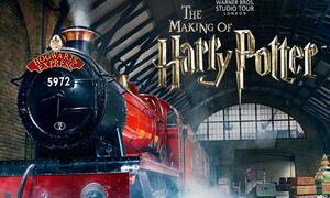 Harry Potter