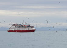 Akureyri Walvis Tours Akureyri Whale Watching
