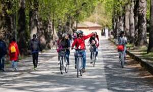 Lucca Bikes & Bites