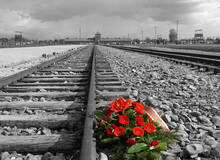 Auschwitz, Memorial en Museum Auschwitz, Memorial en Museum