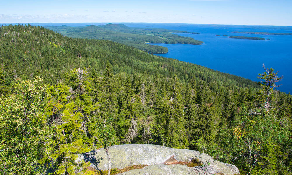 Prachtige natuur in Finland Bossen en meren, Finland