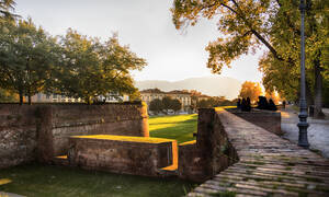 Lucca Bikes & Bites