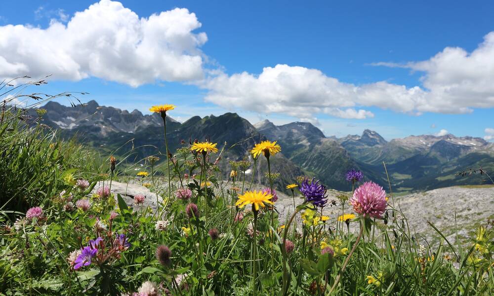 De Alpen rond Lech Camperhuren in Oostenrijk